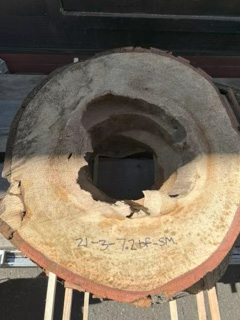 Spalted Maple